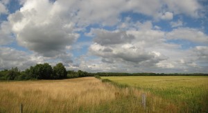 Landschap in Noord-Drenthe